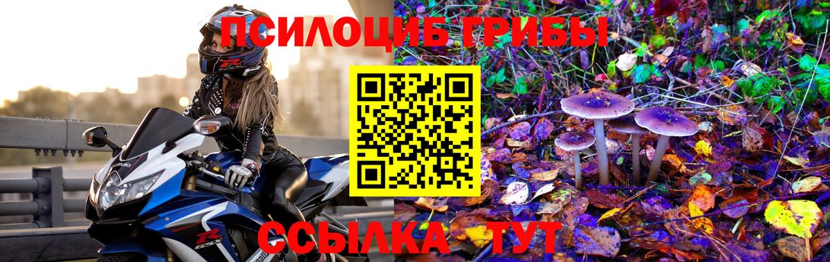 Псилоцибиновые грибы ЛСД Муром