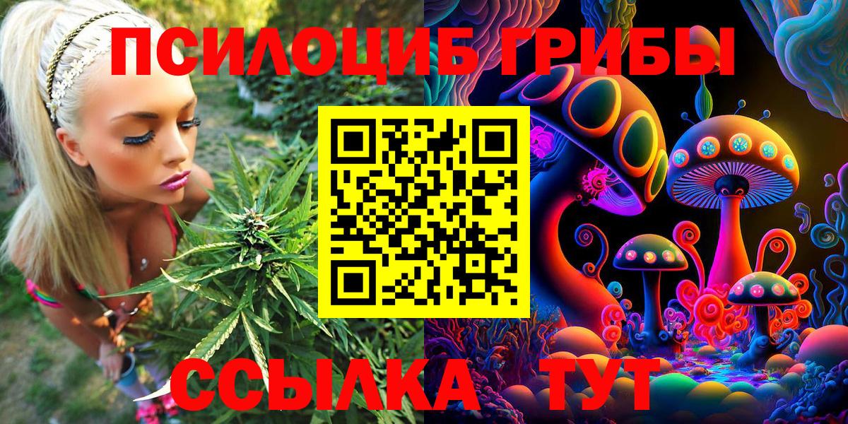 Псилоцибиновые грибы GOLDEN TEACHER  Вход с VPN  Муром 