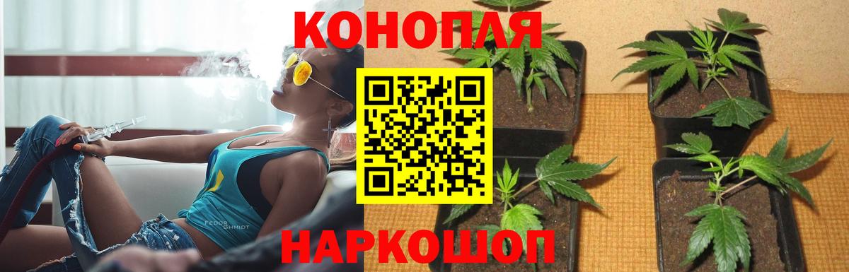 Шишки марихуана ГИДРОПОН Муром